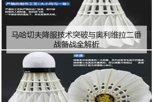 ma-ha-qie-fu-xiang-fu-ji-shu-tu-po-yu-ao-li-wei-la-er-fan-zhan-bei-zhan-quan-jie-xi-3-474.jpg