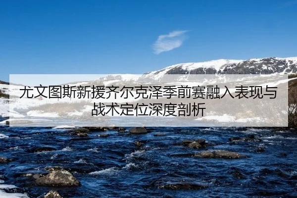 尤文图斯新援齐尔克泽季前赛融入表现与战术定位深度剖析 - 6686.com