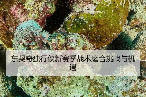 dong-qi-qi-du-xing-xia-xin-sai-ji-zhan-shu-mo-he-tiao-zhan-yu-ji-yu-2-772.jpg