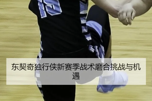 东契奇独行侠新赛季战术磨合挑战与机遇 - 6686.com